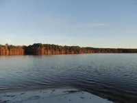 Beautiful Oasis only steps away from the lake