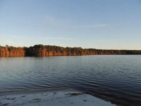 Your Toledo Bend Lakefront Home – Neighborhood Boat Launch Just Next Door Отели в г. Сабин Пэриш