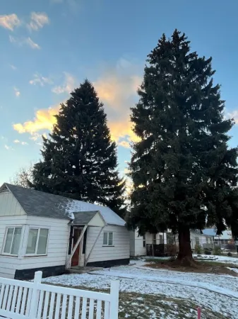 Salmon Goldbug Cottage, hot tub sleeps 8