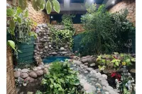 Forest Dream Hotels near Outlets at Tejon