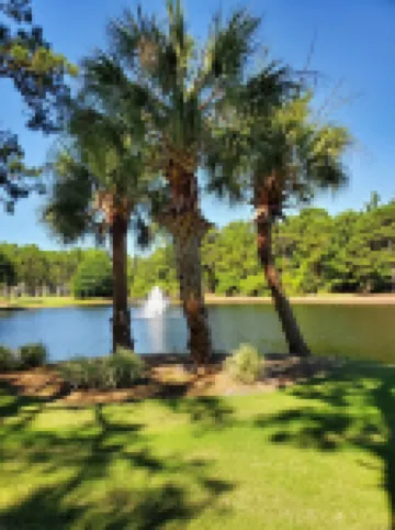 Salty Livin & Golf Retreat. Your Relaxing, Stress Free Vacation Awaits You!!