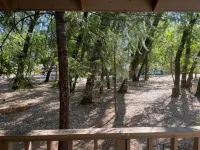 Doney Creek Cabin