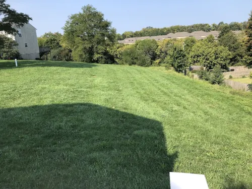 Spacious house minutes from the Horse Park