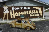 Hippie Head Hotel sweet Homosassa skies are blue Pets stay free too!