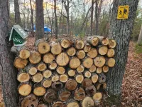 Tawas, Oscoda, National City, Sand Lake Cabin