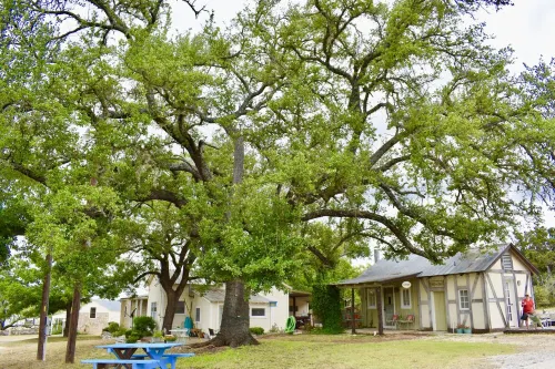 Romantic Ava Haus Cottage. 3 minutes to Main! See our other 4 Ava Haus rentals.