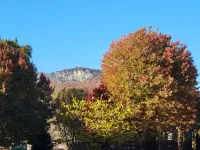 The Cook's Wall Cabin Hotels in Stokes County