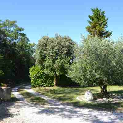 Cottage rental in Bédoin at the foot of Mont Ventoux Hotel Exterior