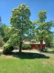 Catalpa Cottage is named after the giant Catalpa trees surrounding the cottage ~ - 4-Star