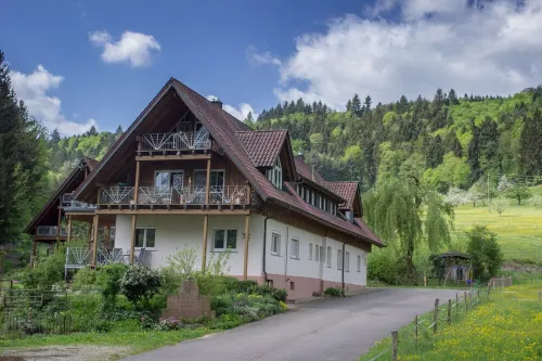 Herrlich an Wald u. Wiesenrand,ruhige Lage. Erdgeschoss, Terrasse ,fam. mit Kind Hotels in Berghaupten