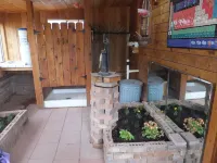 Glamping, Off-Grid Adventure at Peace-Friendly Cabin on 10 Acres w/ Stargazing! Hotels in Fredonia