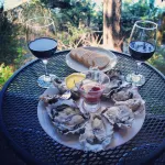 No Better View of the Olympics (near Alderbrook Resort) Hotels in Mason County