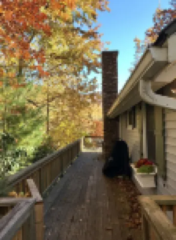 Hickory Heaven - Spectacular mountain view in charming home/Resort Amenities