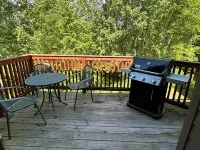 Lola’s Lodge Ski-In/Ski-Out 3 bedroom Lodge near hiking/golf Hotels in Lutsen