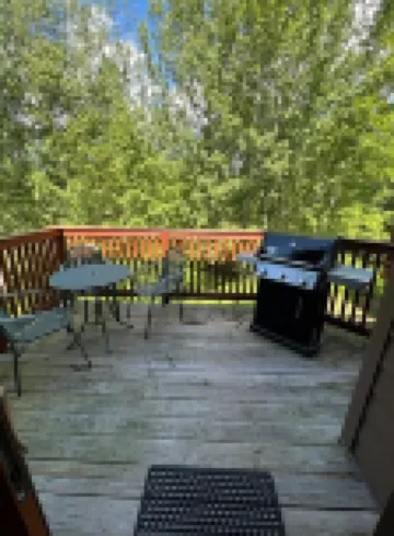 Lola’s Lodge Ski-In/Ski-Out 3 bedroom Lodge near hiking/golf