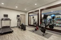 Hampton Inn Waynesboro/Stuarts Draft - Gym