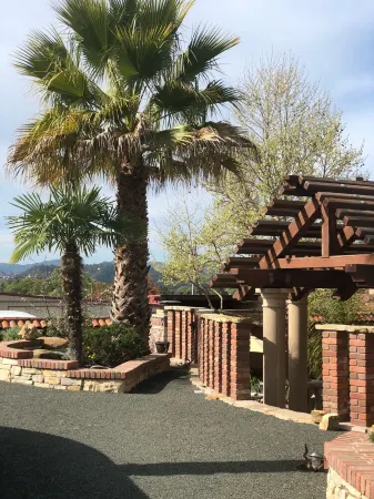 TREE CABIN FOR 2🌲Unique cabin close to San Luis Obispo, Morro Bay & Paso Robles