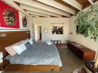 Modern-1 Mile to Plaza-Floor to Ceiling Windows-Mountain Views-Wildlife.