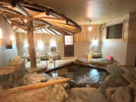 新城観光ホテル 新城のホテル