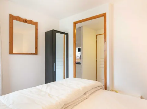 V.DU BACHAT Asters D