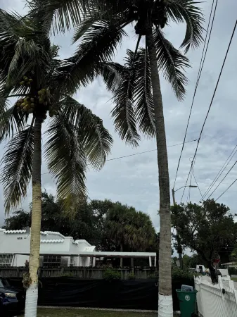 Safari Wynwood Отели рядом с достопримечательностью «Портмайами»