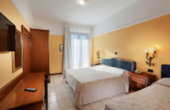 Hotel Salus