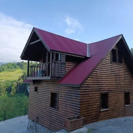 Diamond Tree House