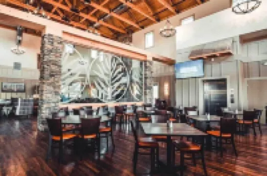 سينسيناتي كامب سيدار فنادق في 