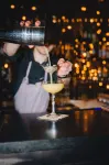 弗洛索公園飯店 - 酒吧