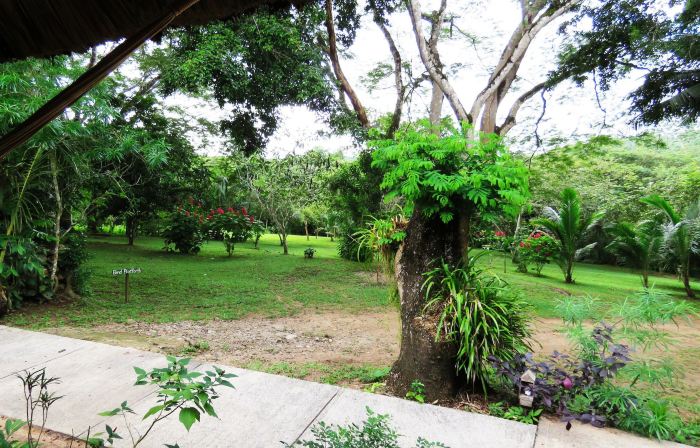 Crystal Paradise Resort