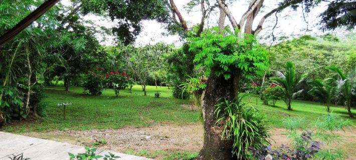 Crystal Paradise Resort Ξενοδοχεία στην πόλη San Ignacio