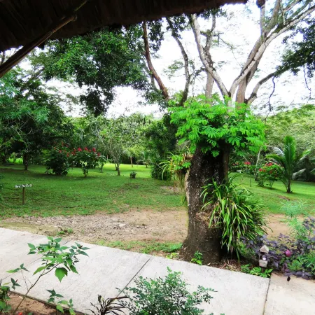 Crystal Paradise Resort