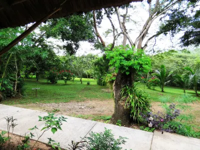 Crystal Paradise Resort Hotels in San Ignacio