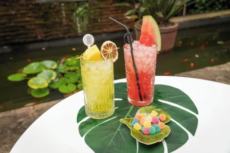 Hotel Cuevas - Adults Only