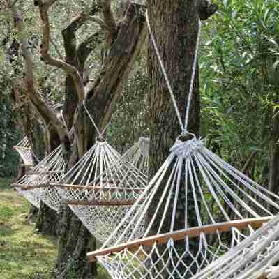 Hotel Caesius Thermae & Spa Resort Hotel Exterior