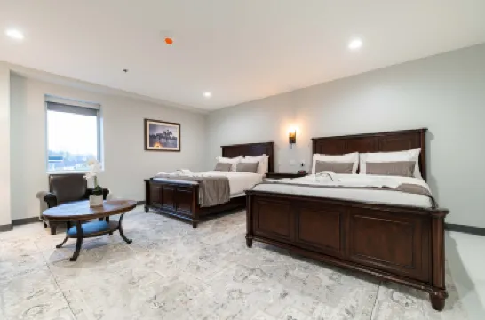 Gallops Motel فنادق في 