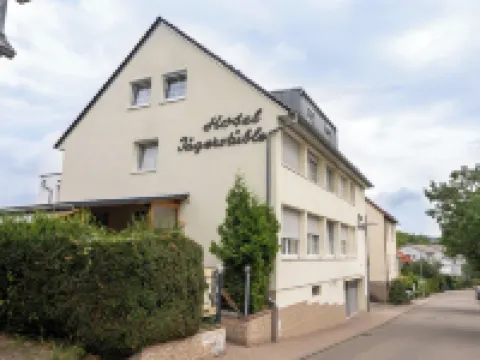 ゲストハウス ネッカーズルム ネッカーズルムのホテル