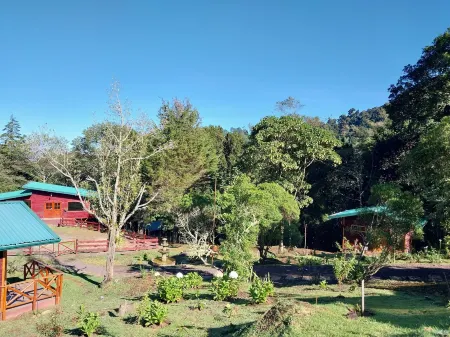Curuba Lodge