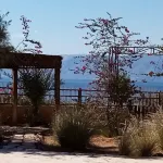 Southern Star Club Hotels near Yacht