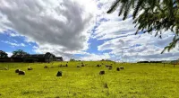 Deveron Valley Cottages