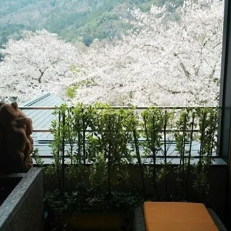Balinese Onsen Ryokan Hakone Airu