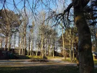 Little Croft - Spacious cottage in Woodland setting close to fantastic beaches