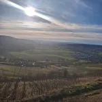 Vacations on the farm Hotels in Aspach