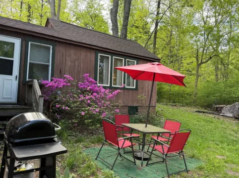 Beautifully Restored Log Cabin in Bluemont, VA