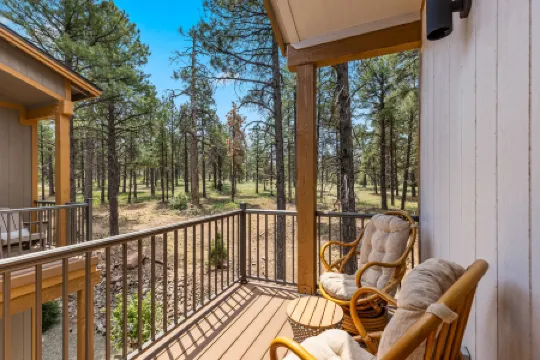 Serene Escape with Stunning Forest Views - Charming Modern Retreat