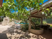 Istra - Homestays