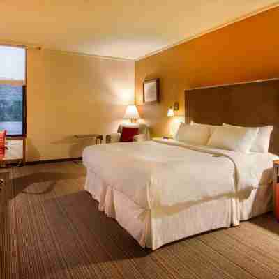 포 포인츠 바이 쉐라톤 살틸로 Rooms