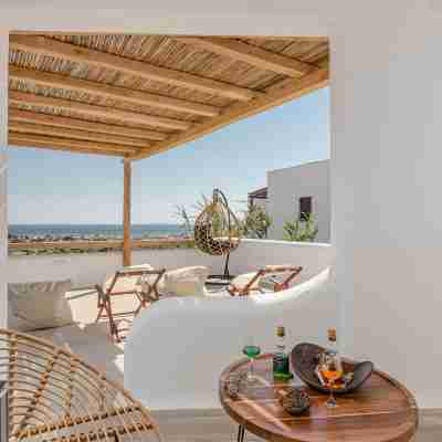 Naxos Contelibro Others