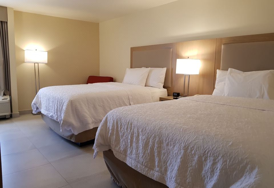 5. 햄프턴 인 몬테..