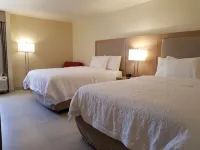 Hampton Inn by Hilton Monterrey-Airport - Hot Tub